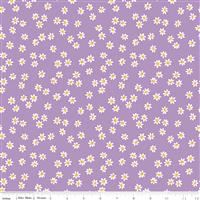 Sweet Picnic- Daisy Field- Lilac